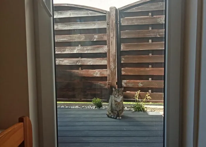 Nadmorski Zakatek W Jastarni Pensionat